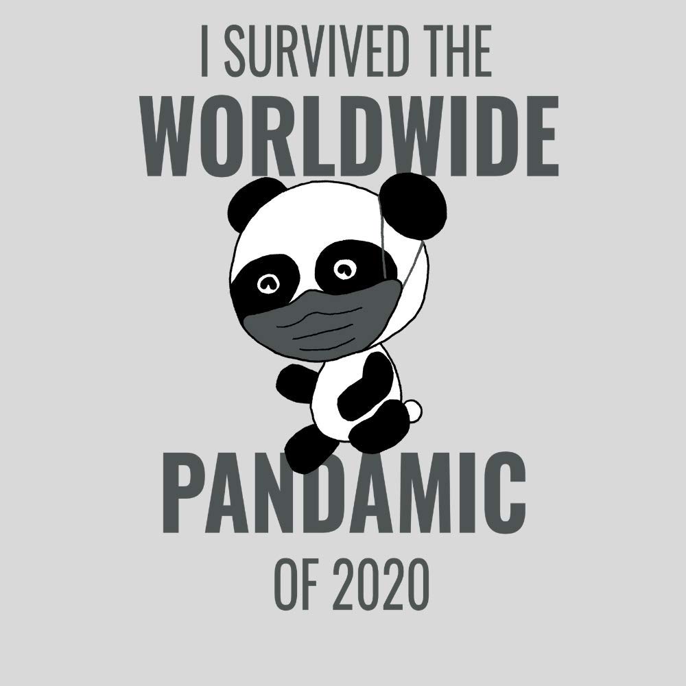 Funny Pandemic Hoodie - Quarantine & Social Distancing Gifts for Men & Women - Perfect for Work From Home, Zoom Meetings & Safe Outings