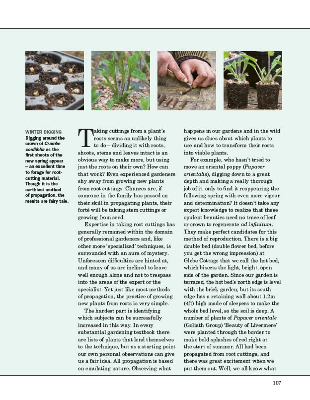 Grow Your Own Garden: Complete Guide to Plant Propagation for Home Gardening | Indoor & Outdoor Planting Tips