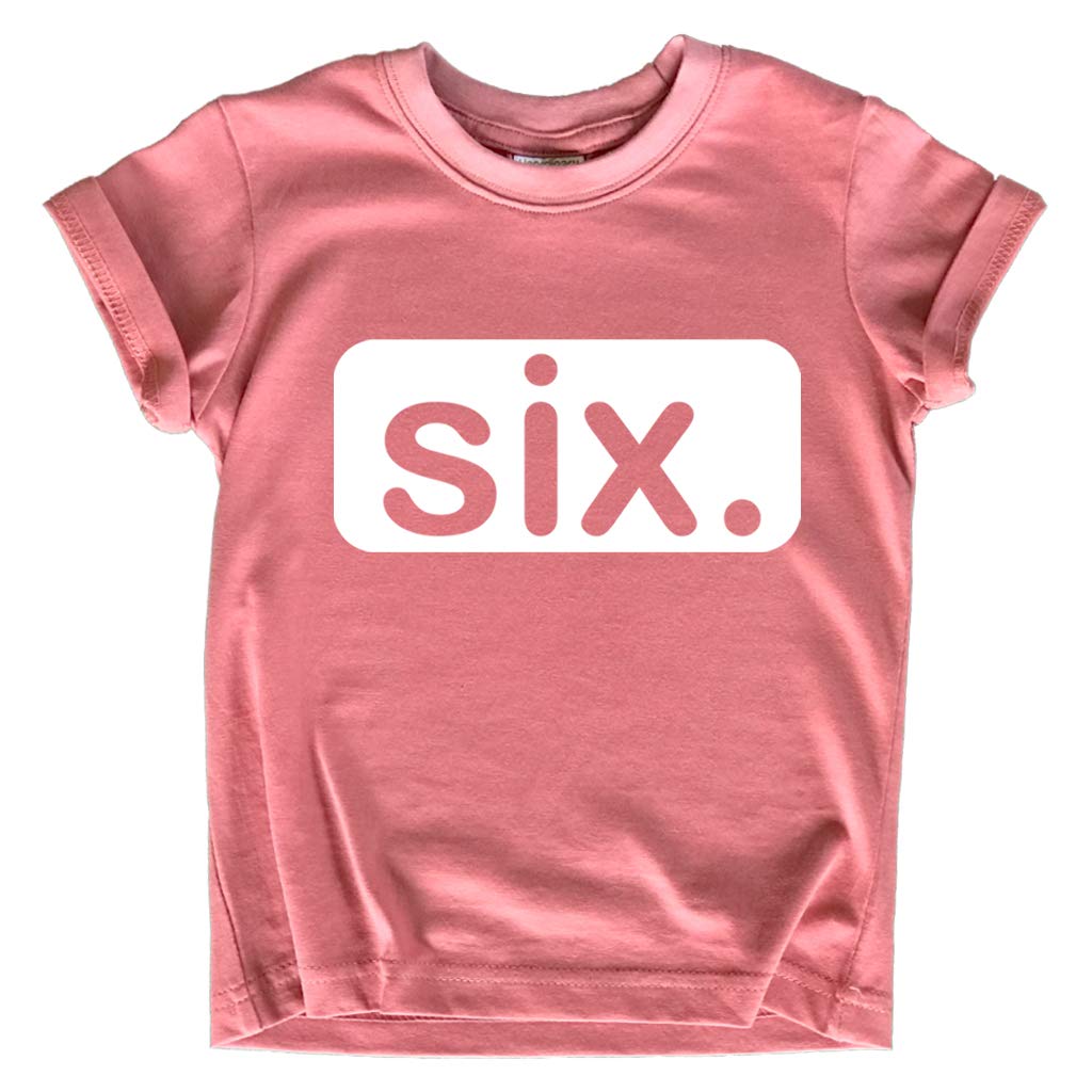 Happy 6th Birthday Outfit for Girls - Cute Toddler 6 Year Old Shirt & Gift Set | Perfect for Birthday Parties, Photo Shoots & Special Celebrations