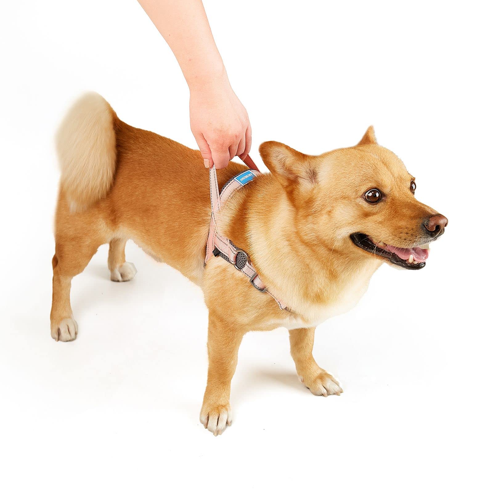 No Pull Dog Harness - Adjustable Reflective Breathable Vest for Small to Medium Dogs | Soft Mesh Padded Step-in Design with Easy Control Handle | Perfect for Walking, Training & Outdoor Adventures