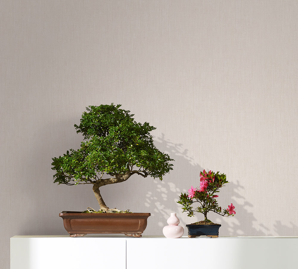 Botanica Textured Plains - Premium Home Decor for Modern Living Rooms & Bedrooms | Stylish & Elegant Wall Art