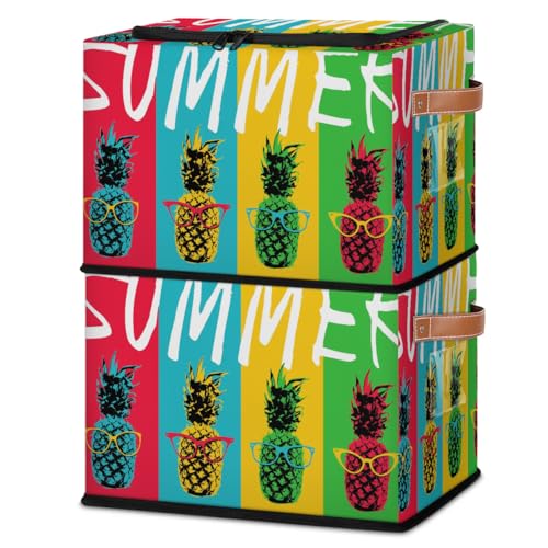 Colorful Summer Pineapple