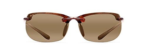 Tortoise/Hcl Bronze Polarized