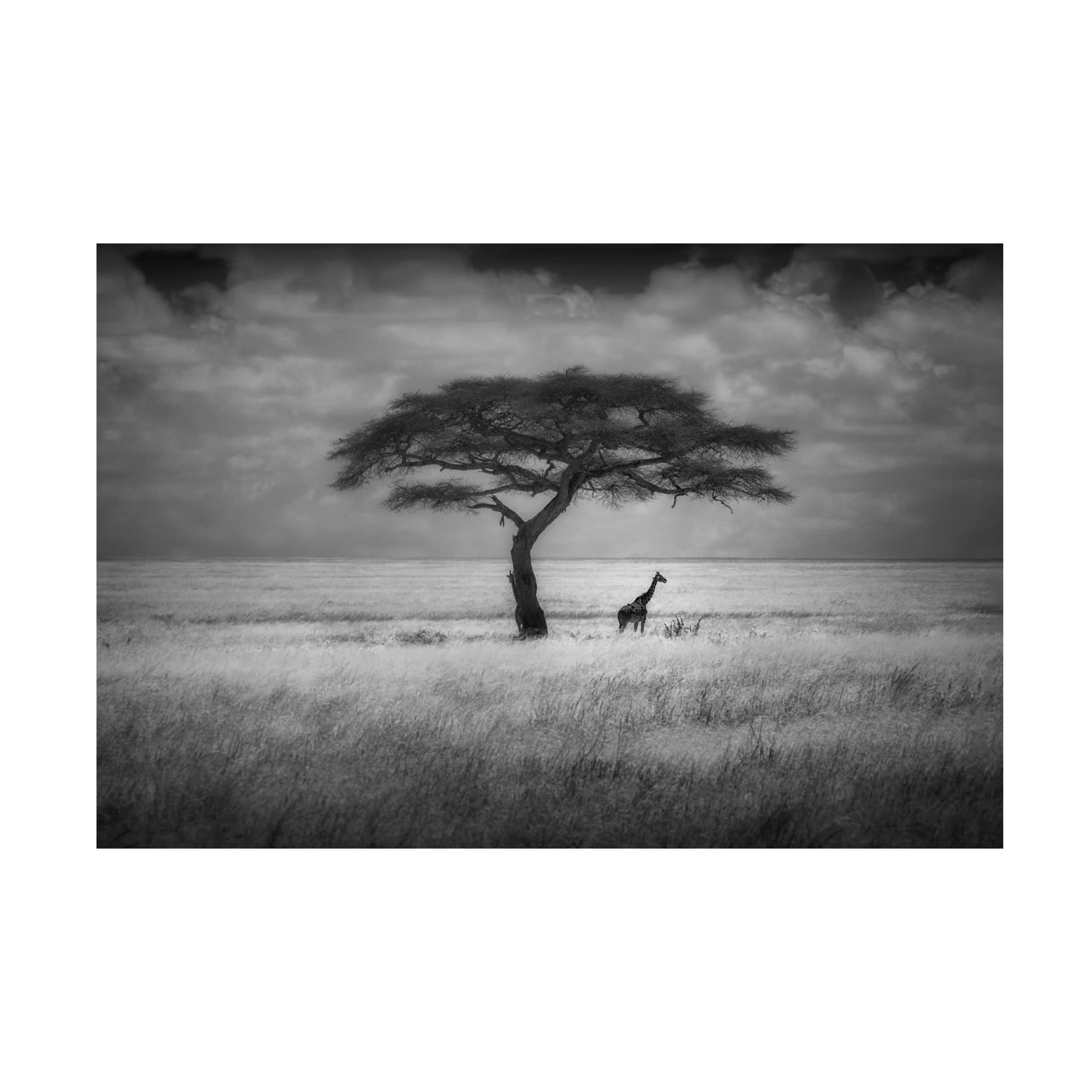Greg Metro 'Shade' Canvas Wall Art Print - Modern Abstract Painting for Living Room, Bedroom & Office Decor | Trademark Fine Art Collection