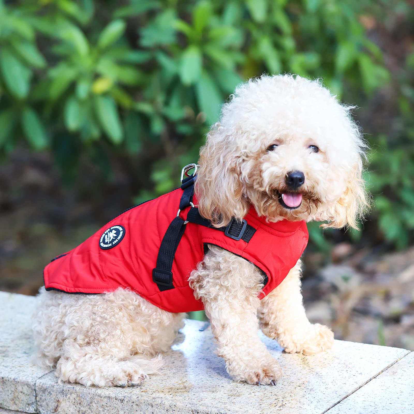 Norbi Dog Winter Coat with Built-in Harness - Adjustable Warm Jacket for Small, Medium & Large Dogs | Cold Weather Protection for Outdoor Walks & Adventures