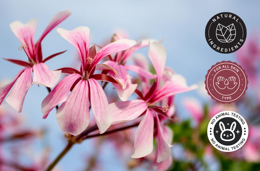100% Pure Rose Geranium Essential Oil - 10ml Bottle for Aromatherapy, Massage & Skin Care | Natural Relaxation & Stress Relief