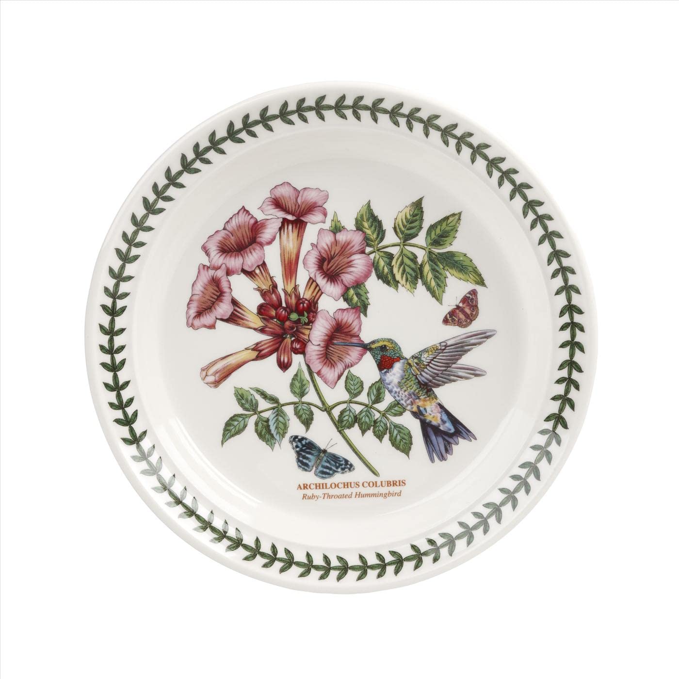 Portmeirion Botanic Garden Birds Collection Salad Plates Set of 6 - 8.5 Inch Earthenware Plates with Beautiful Bird Designs | Dishwasher & Microwave Safe | Made in England | Perfect for Dinner Parties, Garden Tea Time & Home Decor