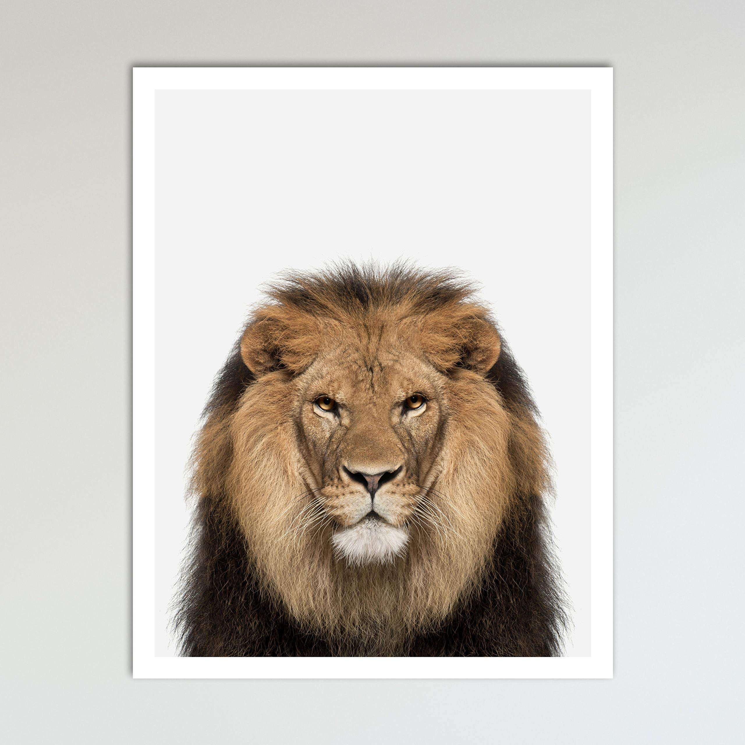 Color Lion Zoo Animal Nursery Print - Neutral Animal Wall Art for Baby Shower Gift & Kids Bedroom Decor - 11x14 Inches Unframed - Perfect for Jungle Theme Nursery, Playroom & Toddler's Room