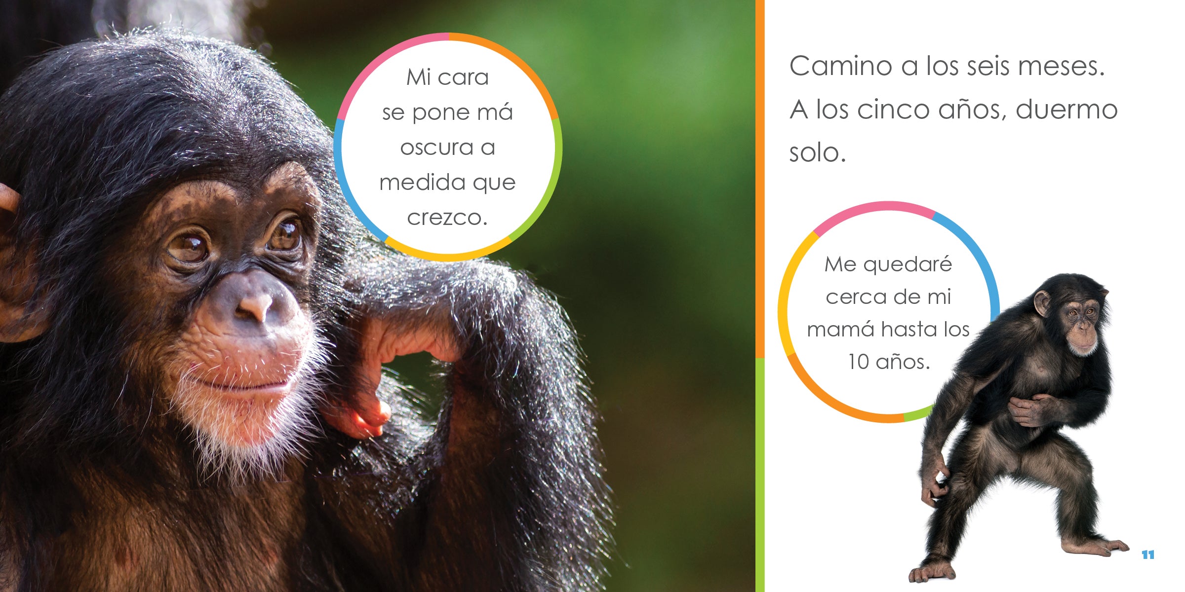 Adorable Baby Chimpanzee Plush Toy - Soft & Cuddly Stuffed Animal for Kids, Perfect for Nursery Decor, Birthday Gifts & Animal Lovers