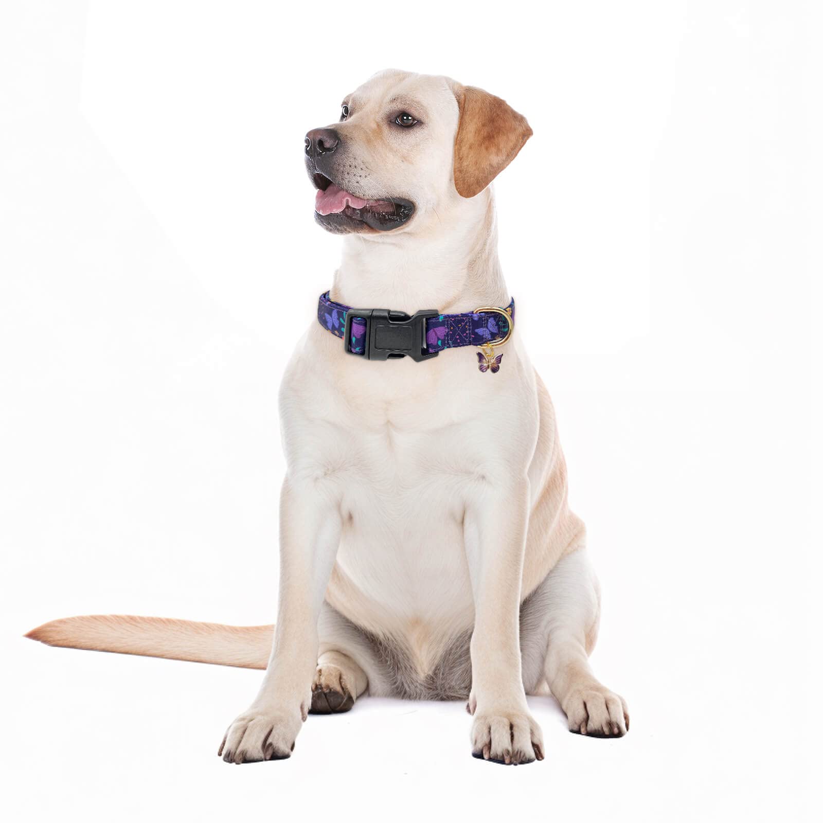 **Adjustable Buckle Dog Collar with Flower Design - Soft & Stylish Pet Collar for Small, Medium, Large Dogs (Purple Butterfly, Size S) - Perfect for Daily Walks, Training & Fashion Accessories**
