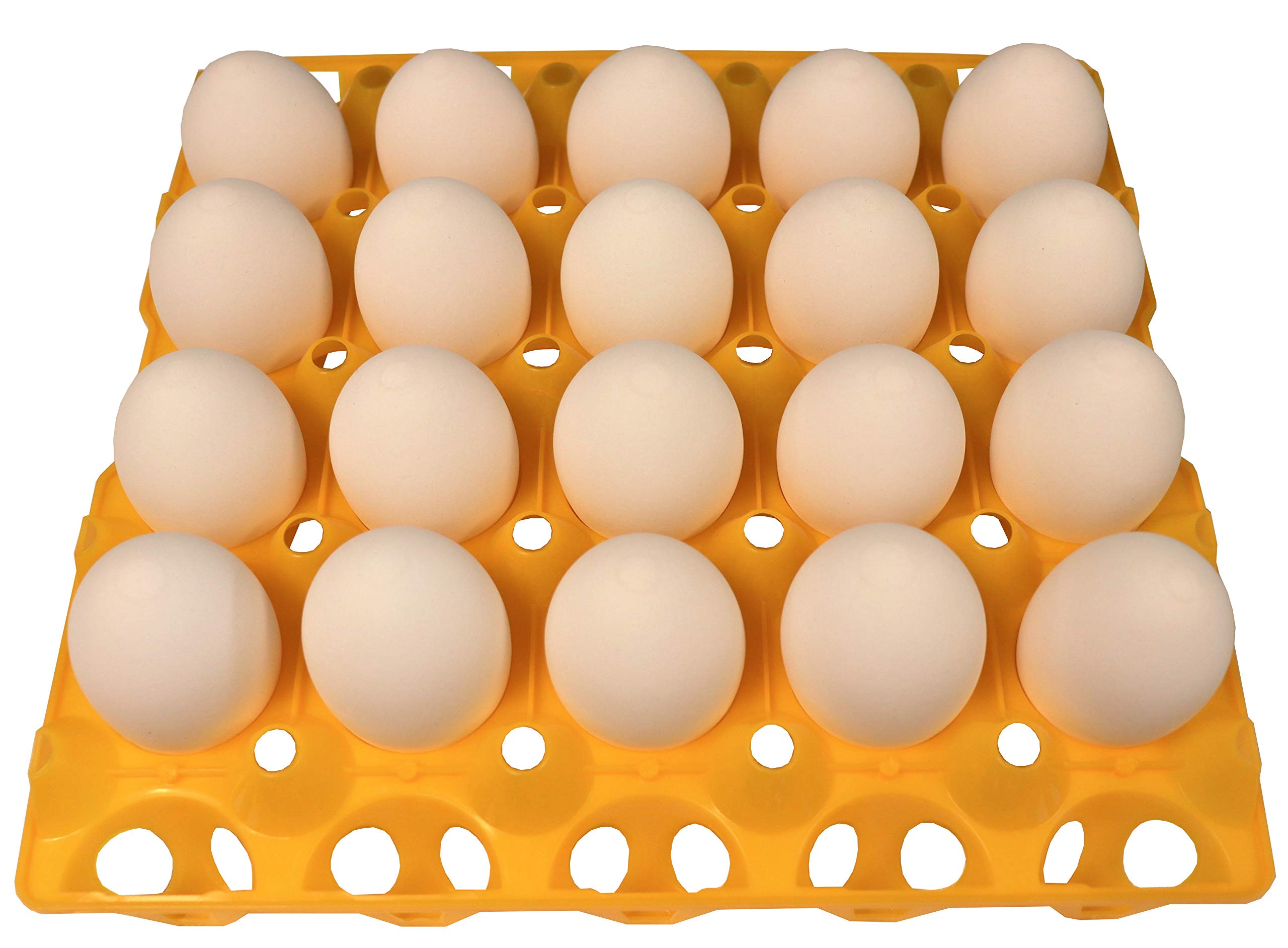 Rite Farm 6-Pack 20-Count Plastic Egg Trays for Duck, Goose, Turkey & Peafowl Eggs - Durable Poultry Egg Cartons for Farm, Hatchery & Home Use