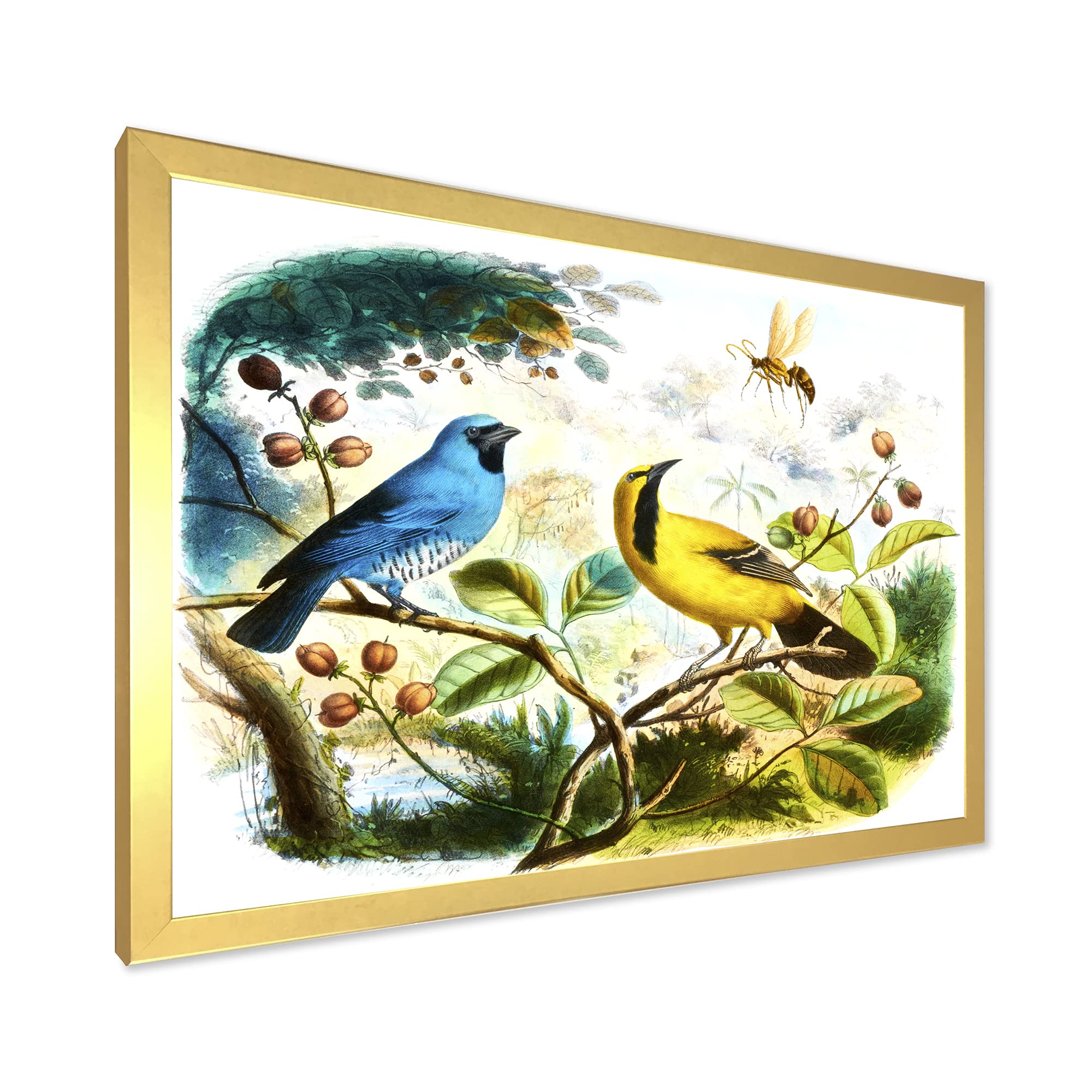 DesignQ Blue and Yellow Bird In The Wild Traditional Framed Wall Art - Nature Inspired Home Decor for Living Room, Bedroom & Office