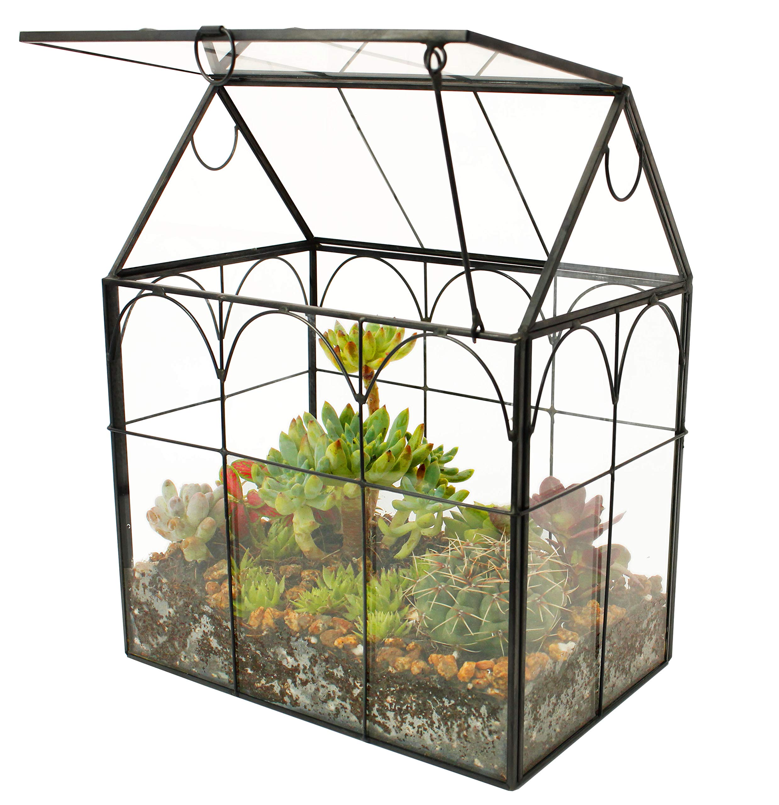 Glass Geometric Plant Terrarium for Succulents & Air Plants - Modern Home, Office & Garden Decor (Black) | Perfect for Indoor Plant Display, Wedding Centerpieces & Gift Ideas