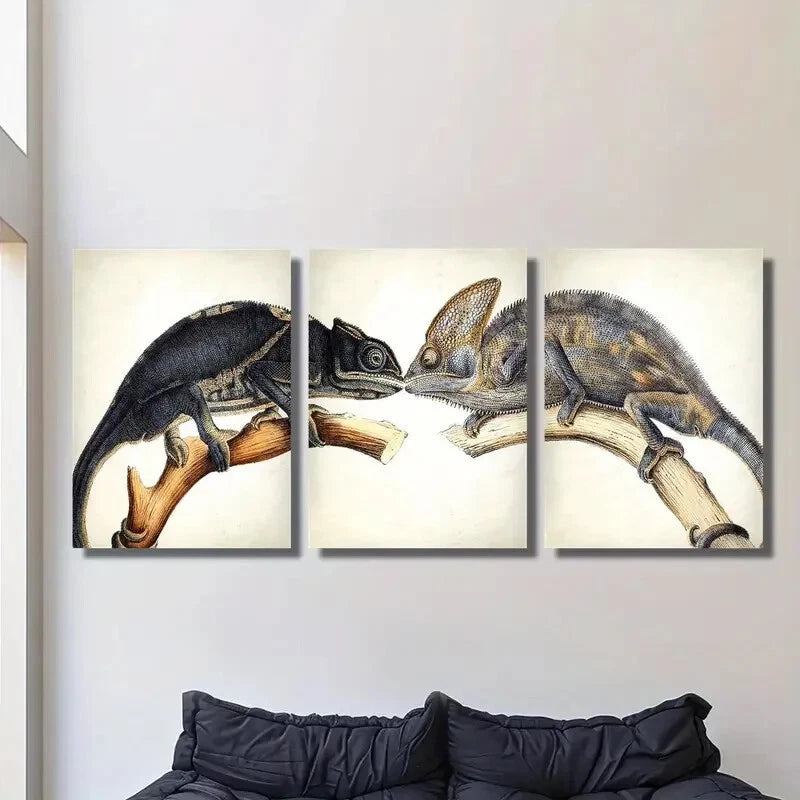 3-Piece Lizard and Chameleon Wall Art Set - Framed Canvas 40x60cm | High Quality Print | 100% Australian Made | Ready to Hang | Perfect for Living Room, Bedroom & Office Decor