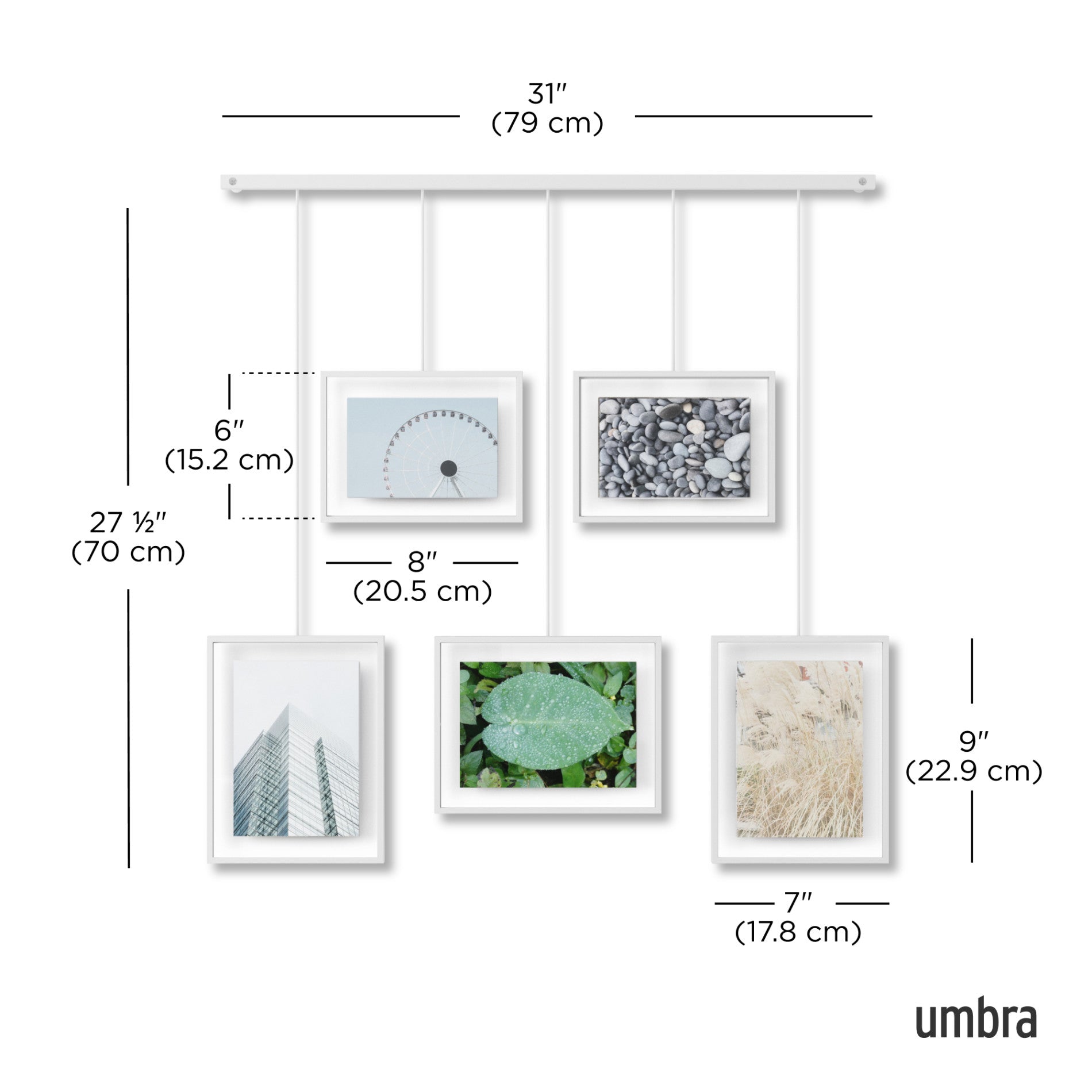 Premium Exhibit Wall Picture Frames Set of 5 - Black Gallery Style Photo Frames for Home Decor, Office Display & Art Exhibition - Perfect for Living Room, Bedroom or Studio Wall Decor
