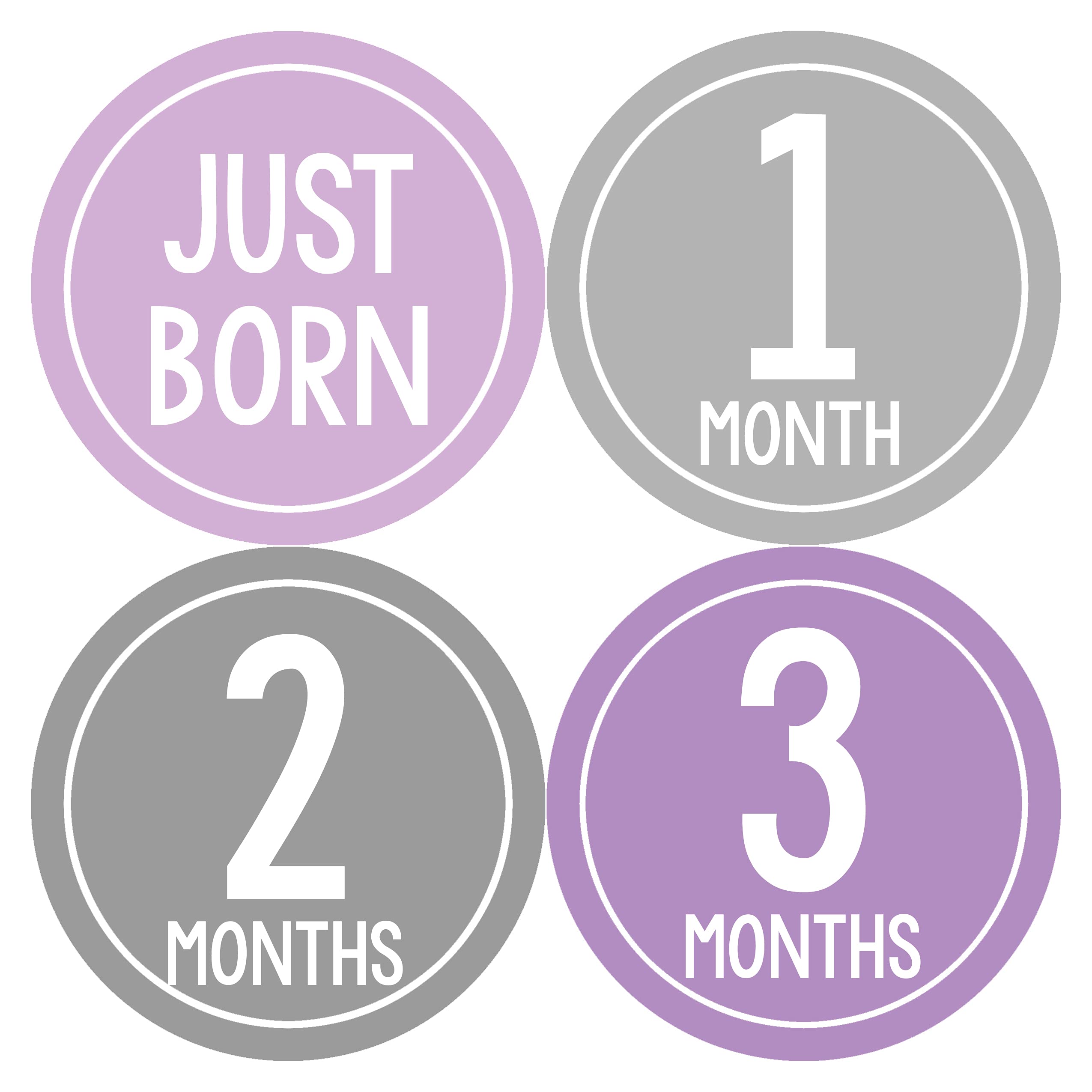 Baby Monthly Milestone Stickers Set of 20 - Newborn Girl Growth Tracking Stickers - Cute Monthly Photo Stickers for Baby Girls | Perfect for Baby Photo Albums, First Year Memory Books & Monthly Milestone Photos