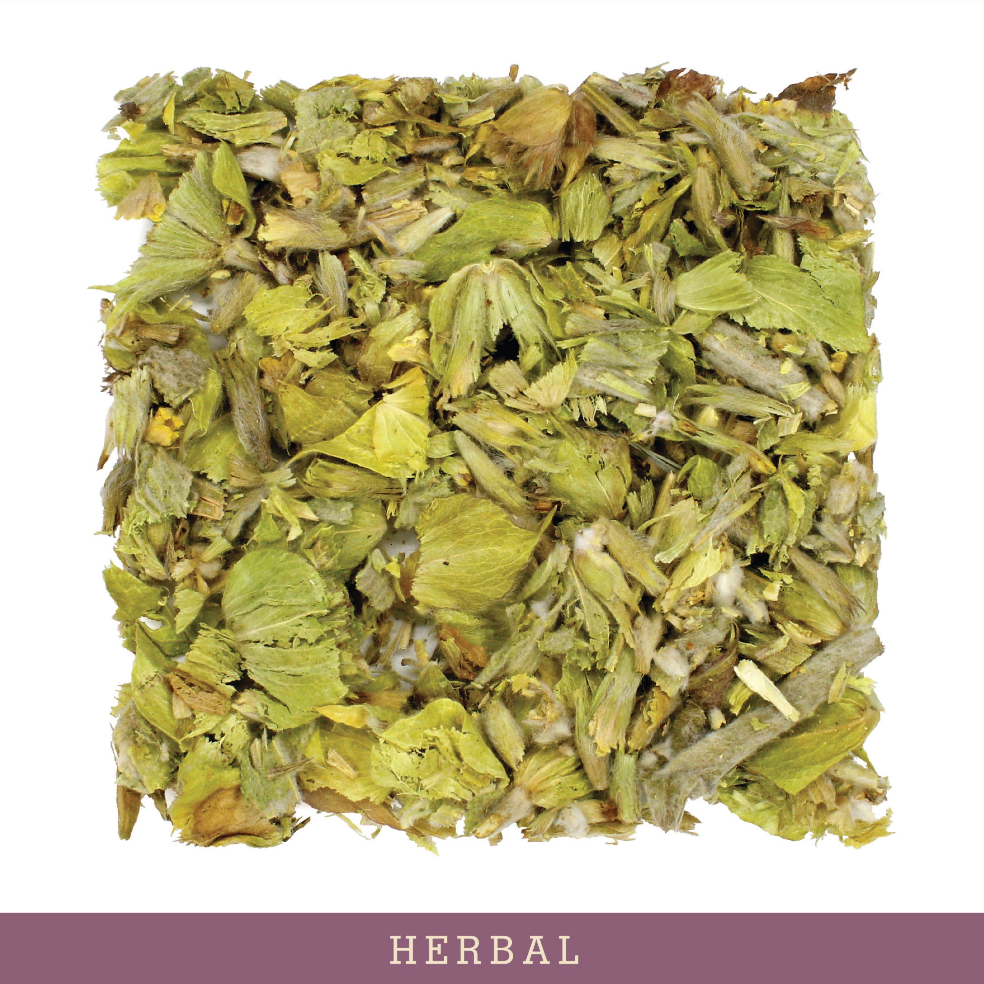 Mt. Olympus 1 lb Wholesale Greek Mountain Tea - Perfect for Relaxation, Immunity Boosting & Traditional Herbal Remedies