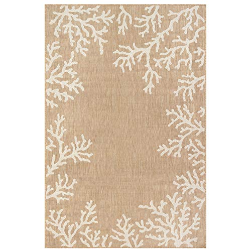 Coral Border Sand