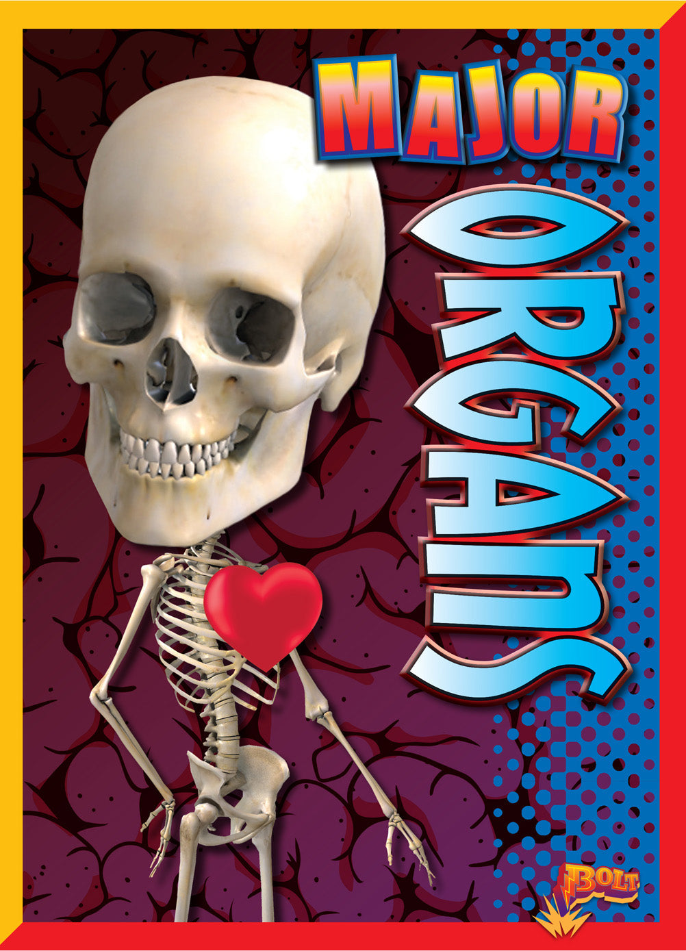 Major Organs Anatomy Book 9781680723908 - Human Body Study Guide for Medical Students & Healthcare Professionals