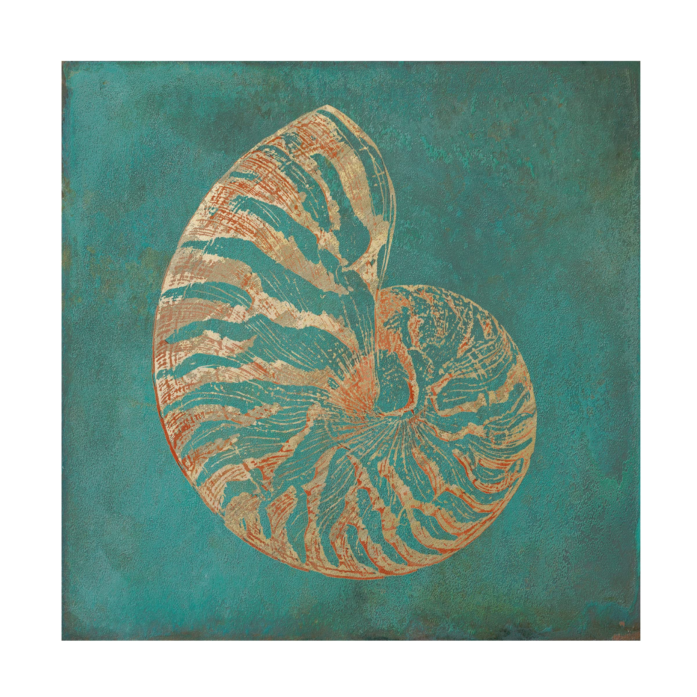 Trademark Fine Art 'Nautilus Shell Gold on Turquoise' Canvas Wall Art Print by Cora Niele - Perfect for Living Room, Bedroom & Office Decor
