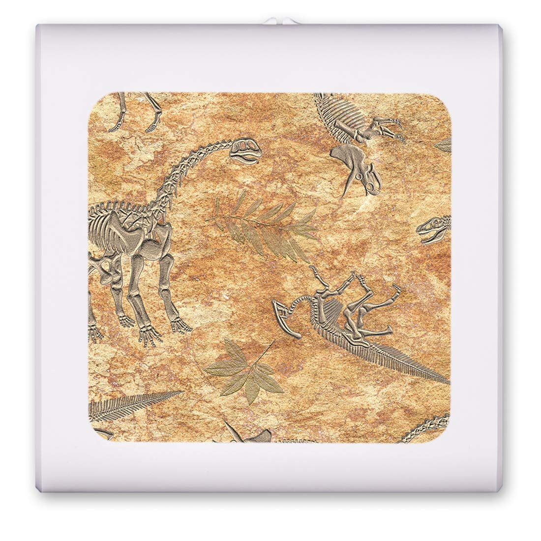 Dimmable LED Night Light with Auto On/Off Sensor - Adjustable Brightness & Warm White Light for Bathroom, Hallway, Nursery & Bedrooms - Dinosaur Fossils Design by Dan Morris - Perfect for Kids' Rooms, Safe Nighttime Navigation & Energy-Efficient Lighting