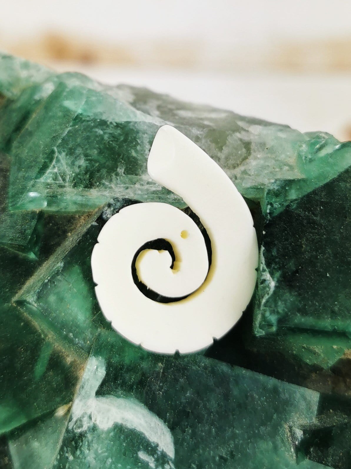 Authentic Carved Bone Ammonite Fossil - Unique Home Decor & Spiritual Healing Stone for Meditation & Yoga Spaces