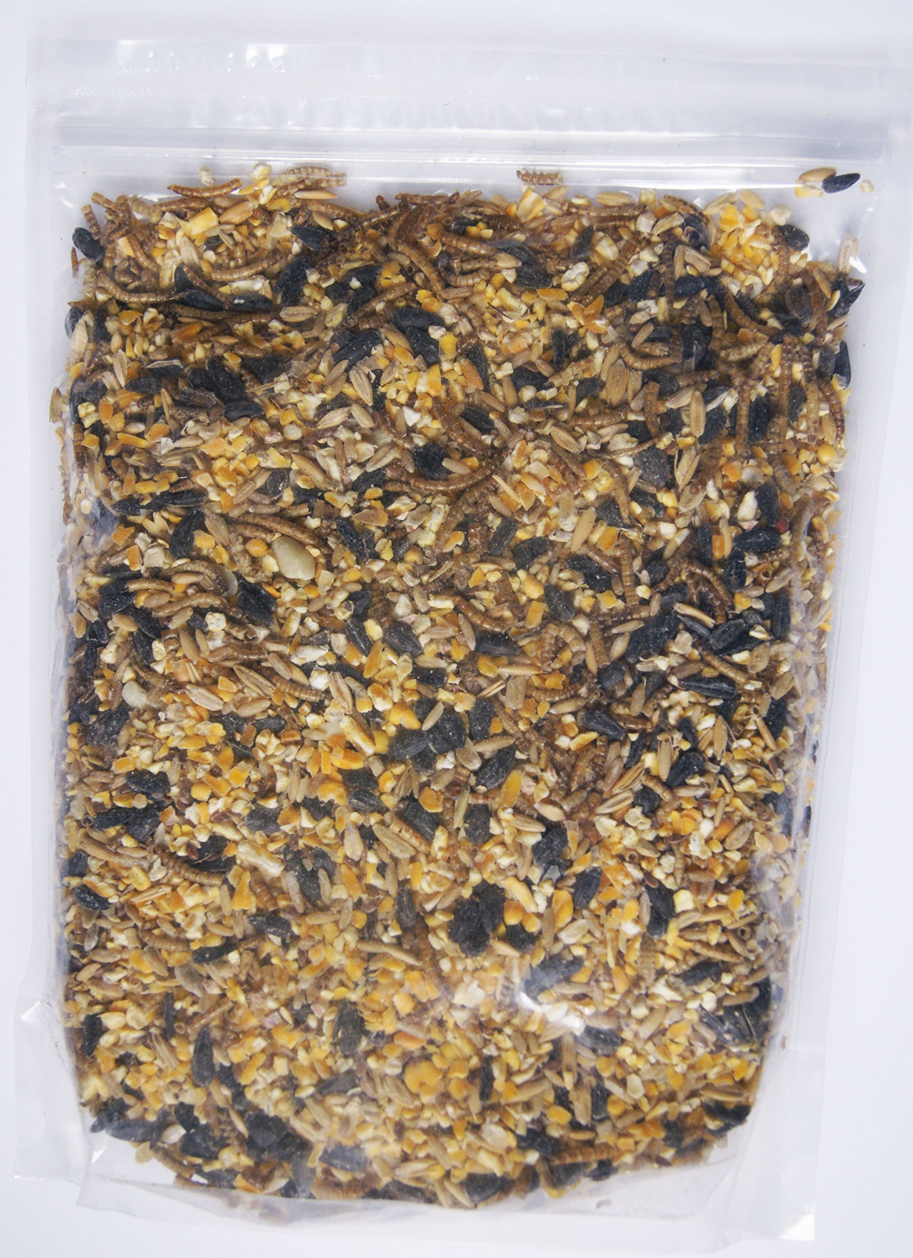 Healthy Oatmeal Mealworm Treats for Hens - Nutritious Chicken Snack for Egg Laying & Flock Health - Perfect for Backyard Chickens & Poultry Feeding