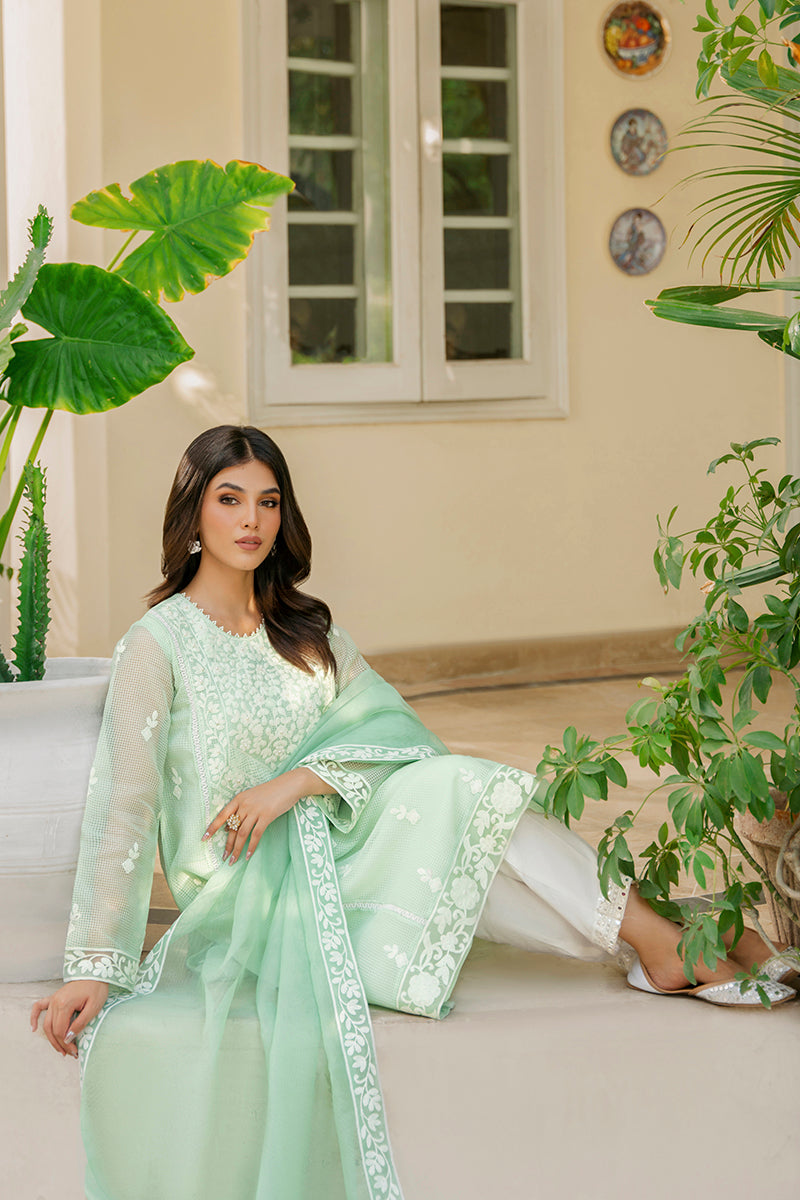 Mint Leaf 2-Piece Set (Shirt & Dupatta) – Stylish Ethnic Outfit for Women | Perfect for Festivals, Weddings & Special Occasions