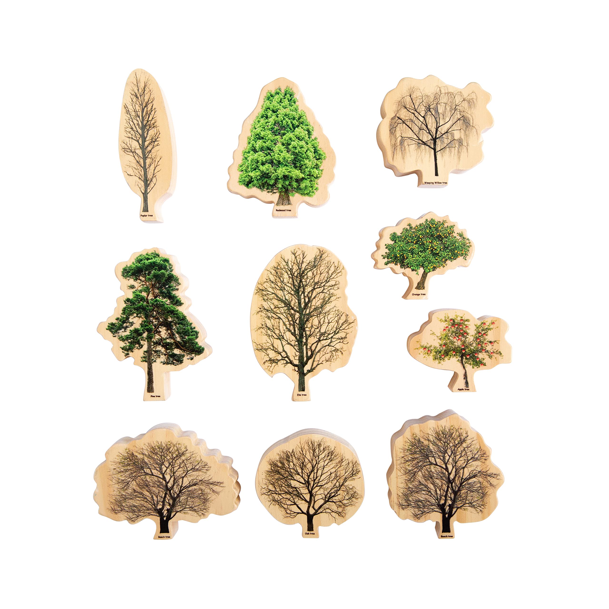 4 Seasons Wooden Tree Decor - Handcrafted Home & Office Decoration for Spring, Summer, Fall, Winter | Perfect for Table Centerpiece, Shelf Display, and Seasonal Gift Giving