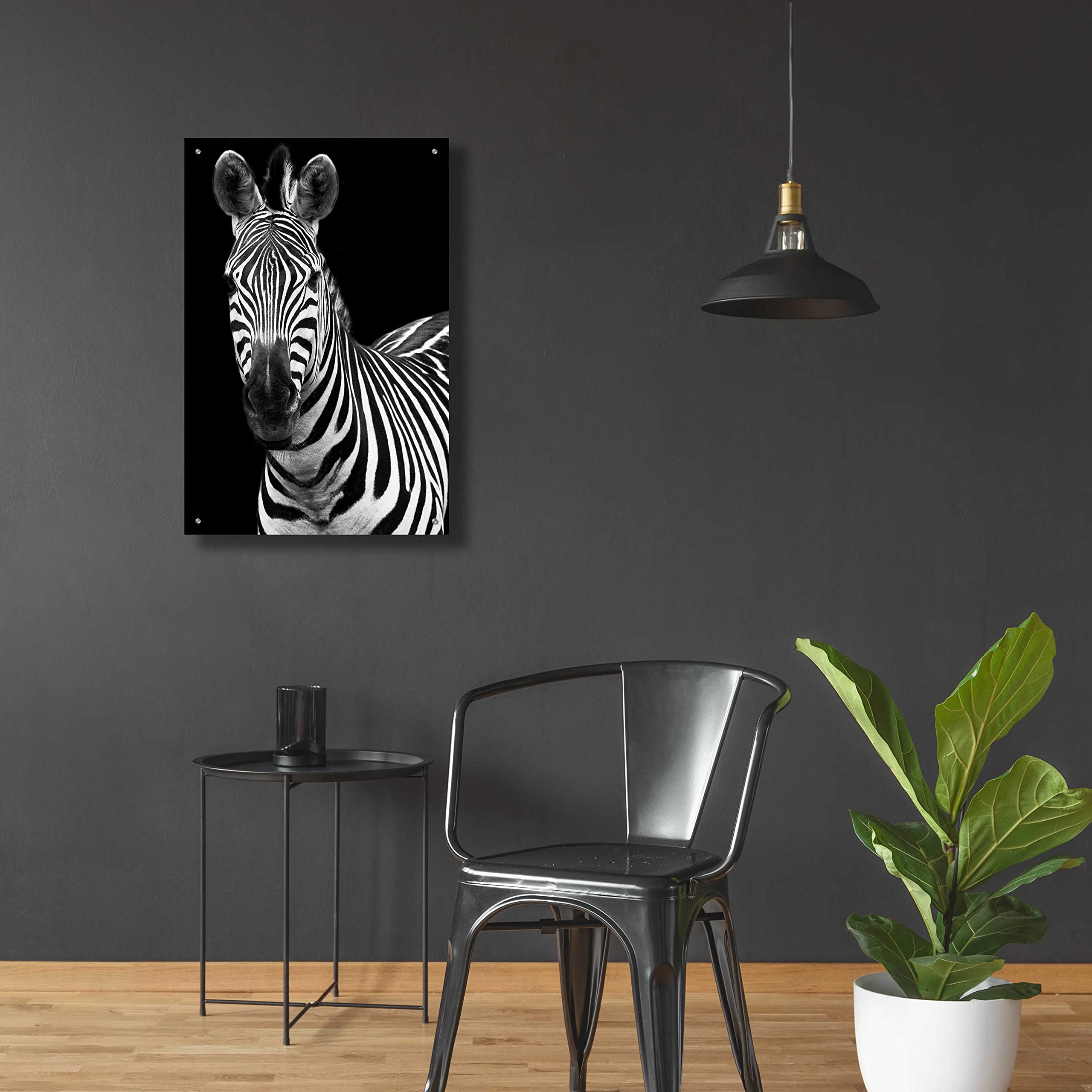 Debra Van Swearingen 'Zebra II' Acrylic Glass Wall Art - 24x36 Inches Modern Animal Print Painting for Living Room, Bedroom & Office Decor