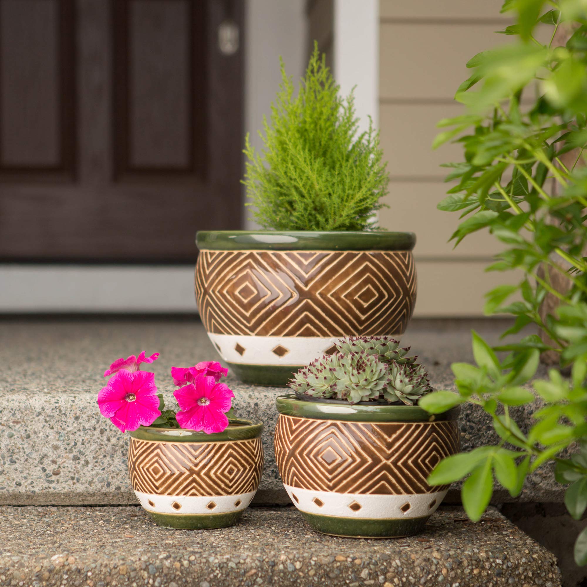 Premium Jade Planters Set of 3 - Ceramic Succulent Pots with Drainage Holes for Indoor Plants, Home & Office Decor - Perfect for Windowsills, Desks, and Gift Giving