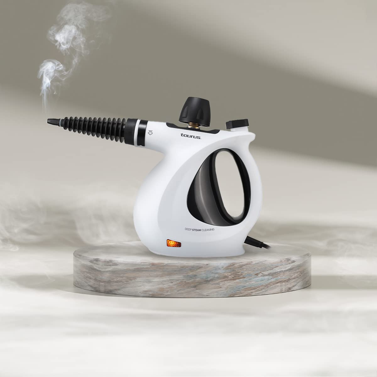 CLEAN JELLYFISH Handheld Steam Cleaner - 1150W High Pressure Steamer with 9 Accessories & 3 Bars for Sanitizing, Disinfecting, Deodorizing - Perfect for Clothes, Upholstery, Floors, and Home Deep Cleaning