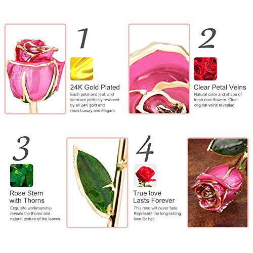 24K Gold Dipped Real Preserved Rose - Eternal Flower Gift for Women, Wife, Mom, Grandma | Perfect for Valentine's Day, Anniversary, Christmas | Romantic Home Decor & Special Occasion Present