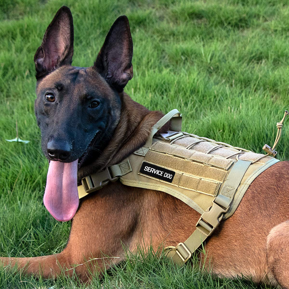 IronSeals Tactical Service Dog Vest - Patrol Training Harness with MOLLE System & Handles for Police K9, Military & Working Dogs - Perfect for Outdoor, Security & Search Missions