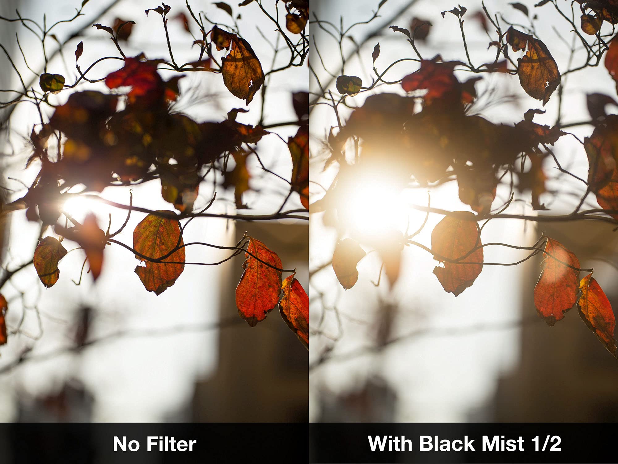 NiSi 72mm Circular Black Mist Filter 1/2 Strength - Soften Images, Reduce Contrast & Enhance Mood - Diffusion Filter for Soft Shadows & Dreamy Cinematic Effects - Perfect for Photography, Videography & Creating Atmospheric Scenes