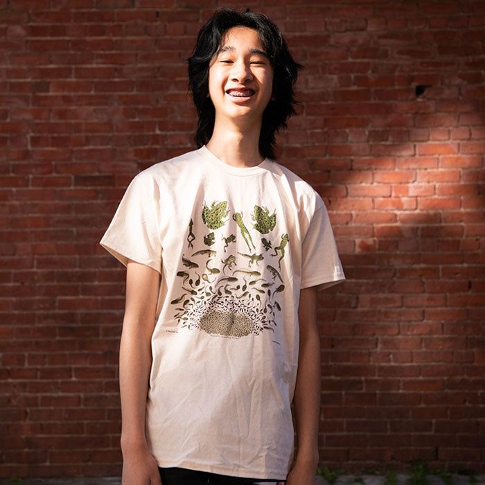 Frog Metamorphosis Graphic T-Shirt - Funny Science Biology Tee for Men & Women - Perfect for Classrooms, Nature Lovers, and Animal Enthusiasts
