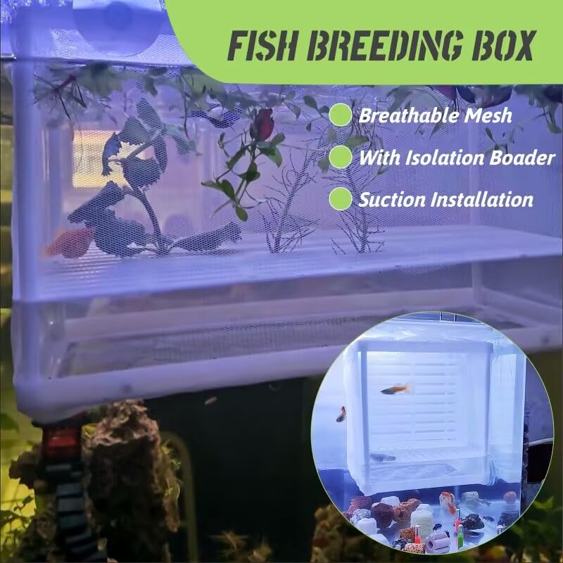 Aquarium Fish Breeder Box with Suction Cups - Isolation Divider for Baby Fish, Shrimp, Clownfish, Guppy - Perfect for Breeding, Quarantine & Tank Separation - Ideal for Freshwater & Saltwater Aquariums