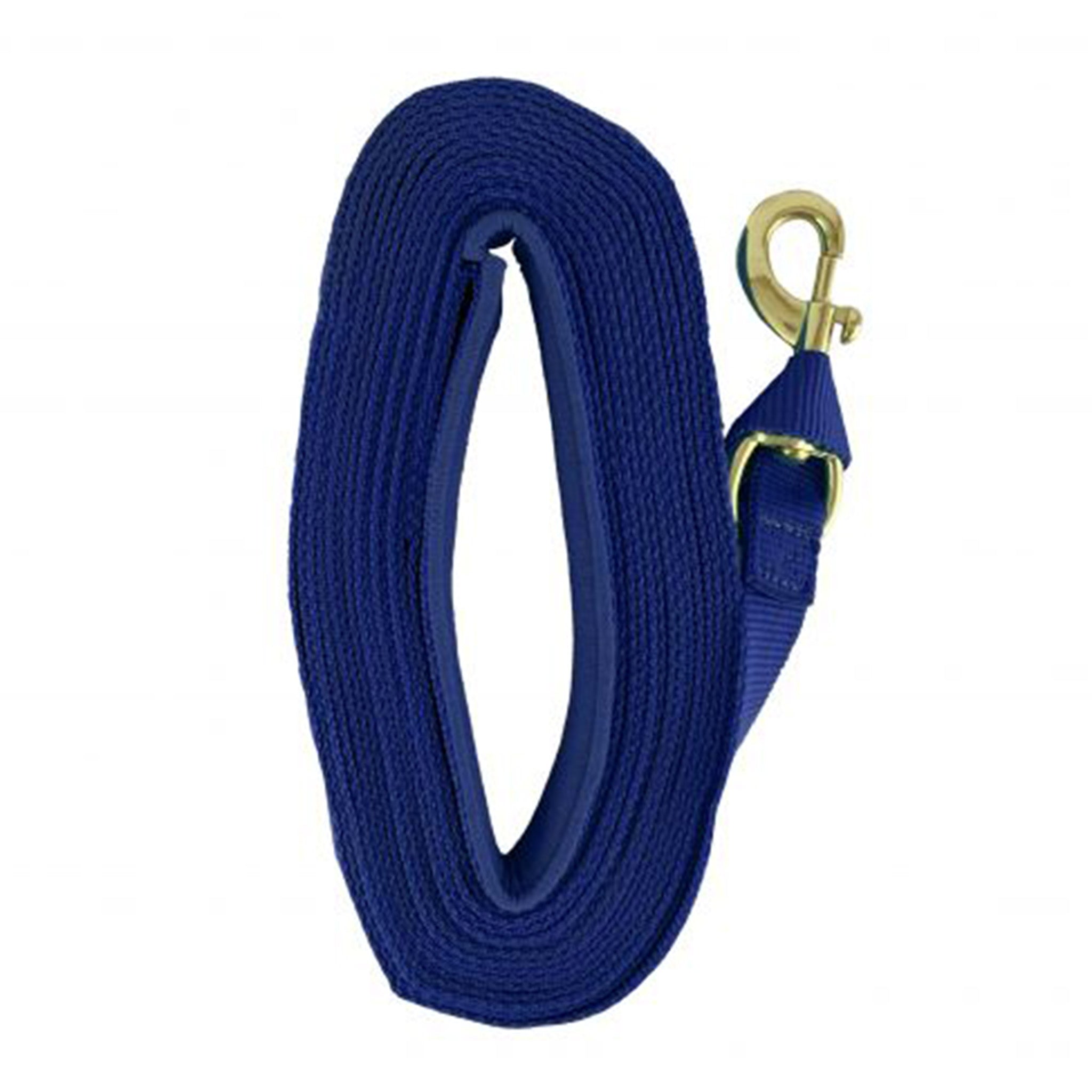 25' Web Lunge Line for Dog Training - Durable Agility Equipment with Adjustable Length - Perfect for Obedience Practice, Backyard Exercises & Canine Sports