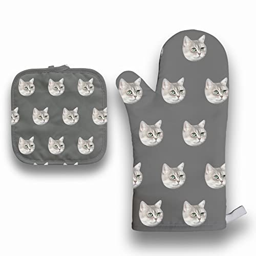 Gray Cat