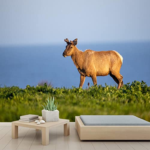 3D Elk Mammal Wall Mural - Self-Adhesive PVC Wallpaper, Peel and Stick Removable Poster for Bedroom & Living Room Decor - 110