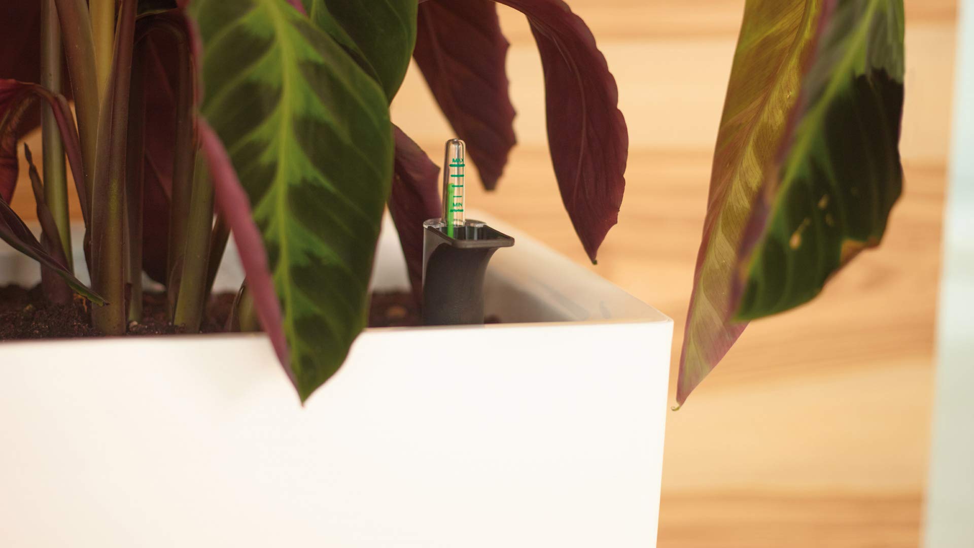 Marbella Self-Watering Plant Box 30