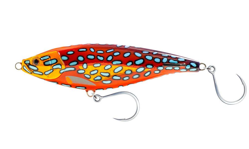 Chartreuse Orange Mackerel