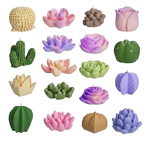 succulents-18-pack