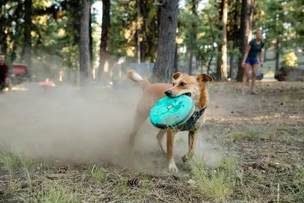 Ruffwear® Hover Craft™ Dog Disco Toy in Aurora Teal Green - Interactive Fetch & Water Play for Active Dogs