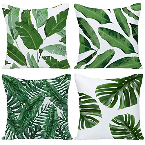 Tropical Leaves a