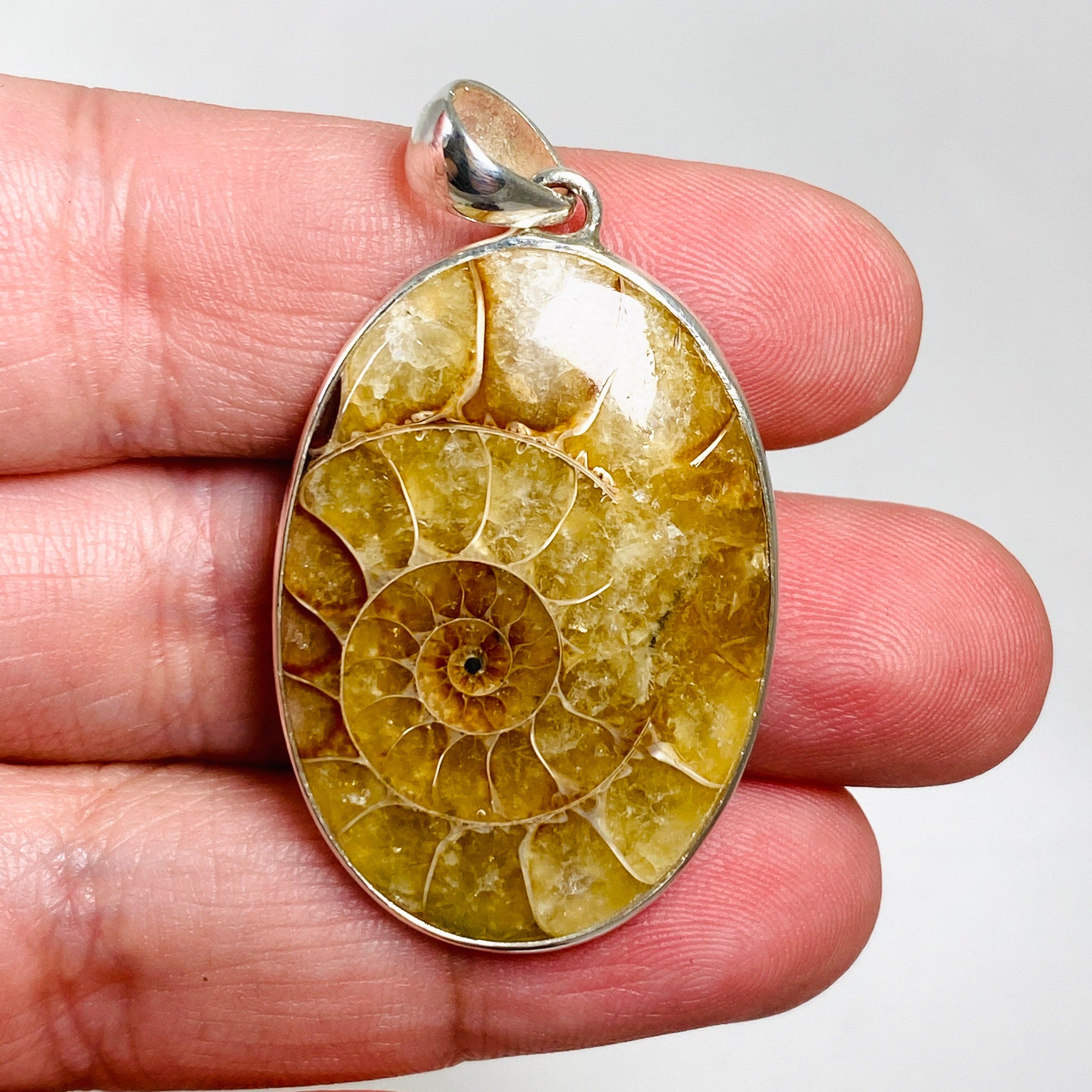 Natural Ammonite Fossil Oval Pendant Necklace KPGJ3460 - Elegant Jewelry for Women, Gift for Her, Perfect for Parties & Special Occasions