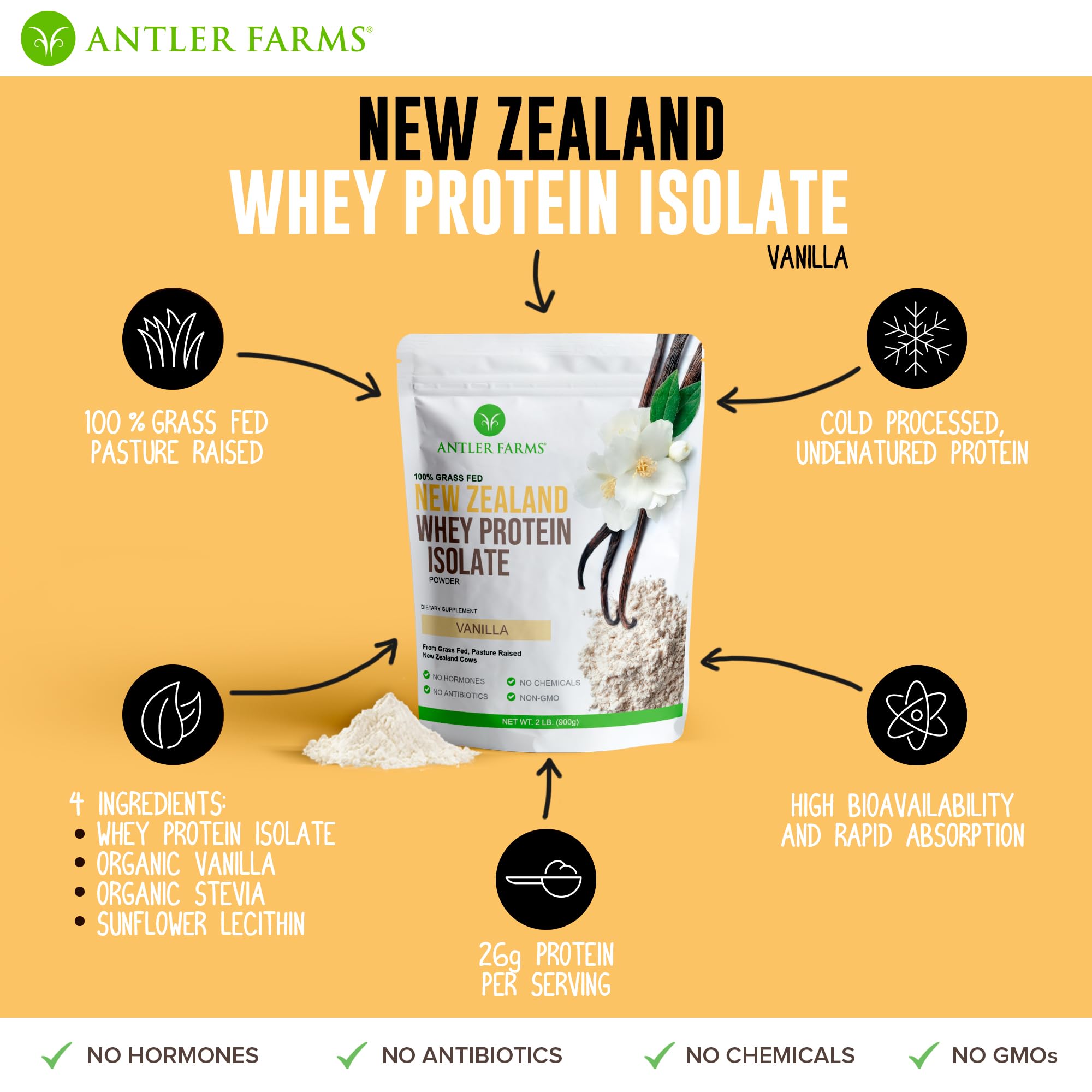 Antler Farms 100% Grass Fed Whey Protein Isolate from New Zealand - Vanilla Flavor, 2 lbs | Pure, Clean, Only 4 Ingredients | Delicious & Cold Processed | Perfect for Post-Workout Recovery & Muscle Building