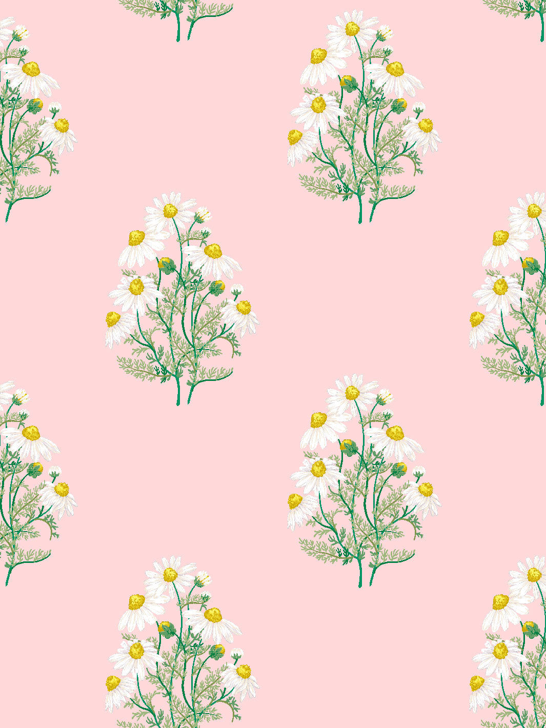 Sarah Jessica Parker Fleur De Camomille Wallpaper - Elegant Floral Peel and Stick Wallpaper for Bedroom, Living Room & Nursery Decor