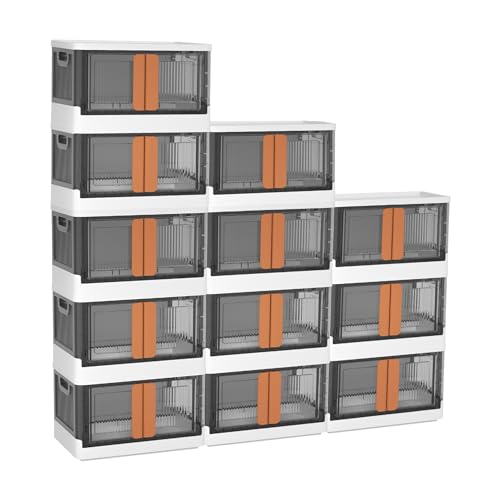 12-Pack
