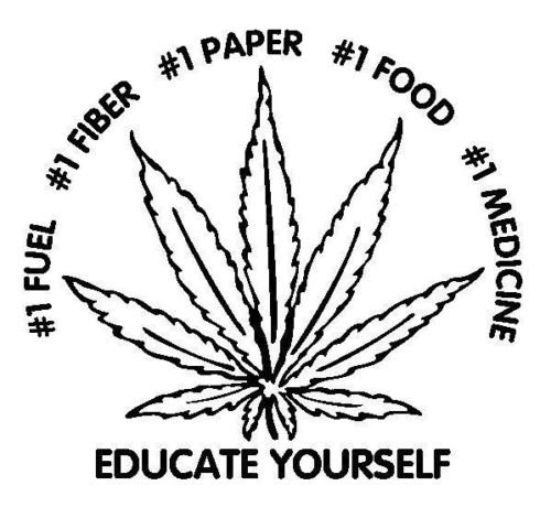 Premium Die-Cut Marijuana Vinyl Decal - Waterproof Sticker for Cars, Windows, Laptops, MacBooks & Smooth Surfaces | Perfect for Car Decoration, Laptop Personalization & Cannabis Enthusiasts